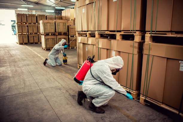 Best Flea Control Services  in Westport, WA