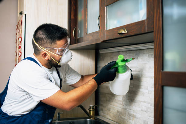 Professional Pest Control in Westport, WA
