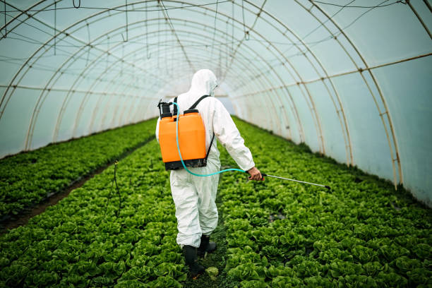 Pest Control for Restaurants in Westport, WA