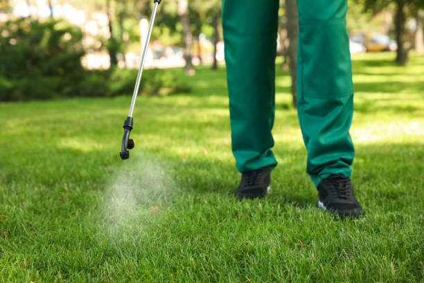 Best Best Pest Control Companies  in Westport, WA