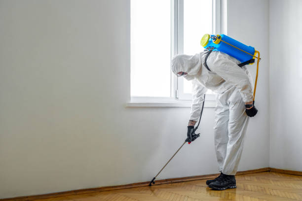 Best Pest Removal Services  in Westport, WA