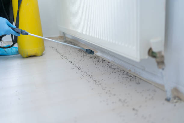 Best Wildlife Control Services  in Westport, WA
