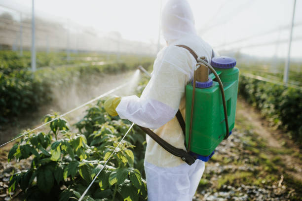 Best Bed Bug Extermination  in Westport, WA